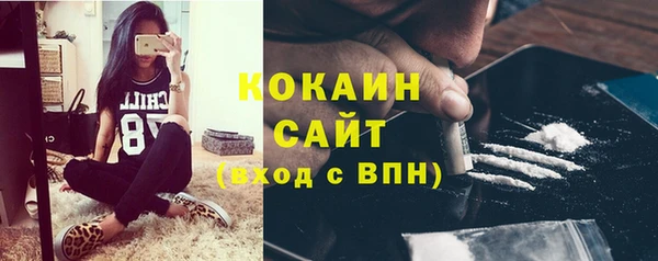 ГАЛЛЮЦИНОГЕННЫЕ ГРИБЫ Беломорск
