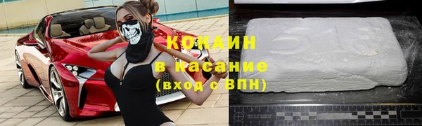 индика Баксан