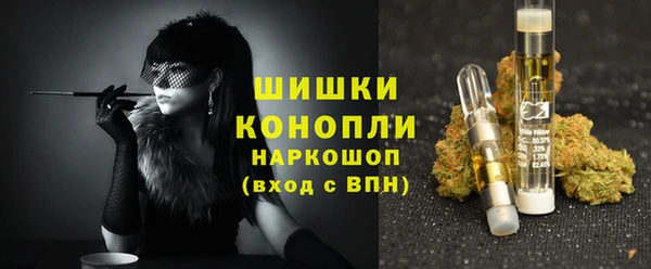 индика Баксан