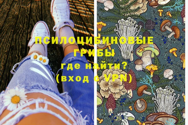 ешки Белокуриха