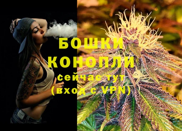 ешки Белокуриха