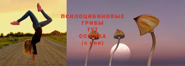 ГАЛЛЮЦИНОГЕННЫЕ ГРИБЫ Беломорск