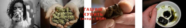 ешки Белокуриха