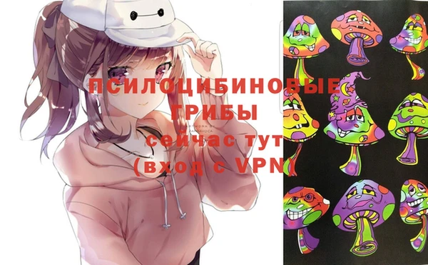 ешки Белокуриха