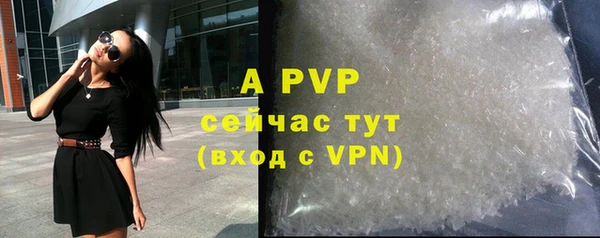 индика Баксан